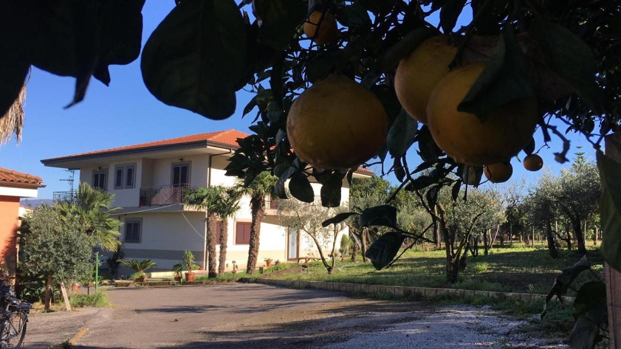 B & B Evergreen Corbara  Екстер'єр фото