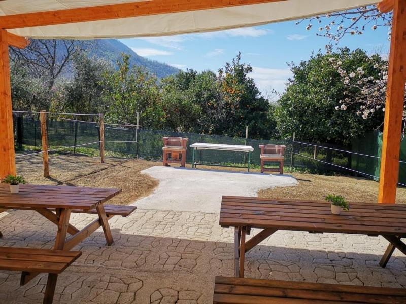 B & B Evergreen Corbara  Екстер'єр фото