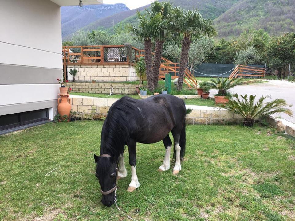 B & B Evergreen Corbara  Екстер'єр фото